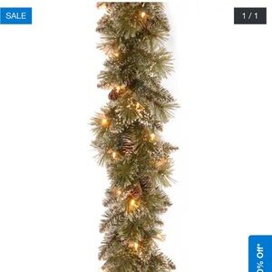 National Tree Company 9 ft. Bristle Pine Glittery Garland Clear Lights